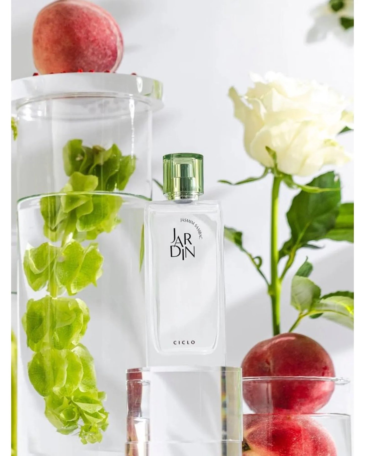 Kit Ciclo Jardin Jasmim Sambac - Creme + Perfume